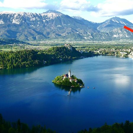 Apartma Jana Zirovnica Dış mekan fotoğraf